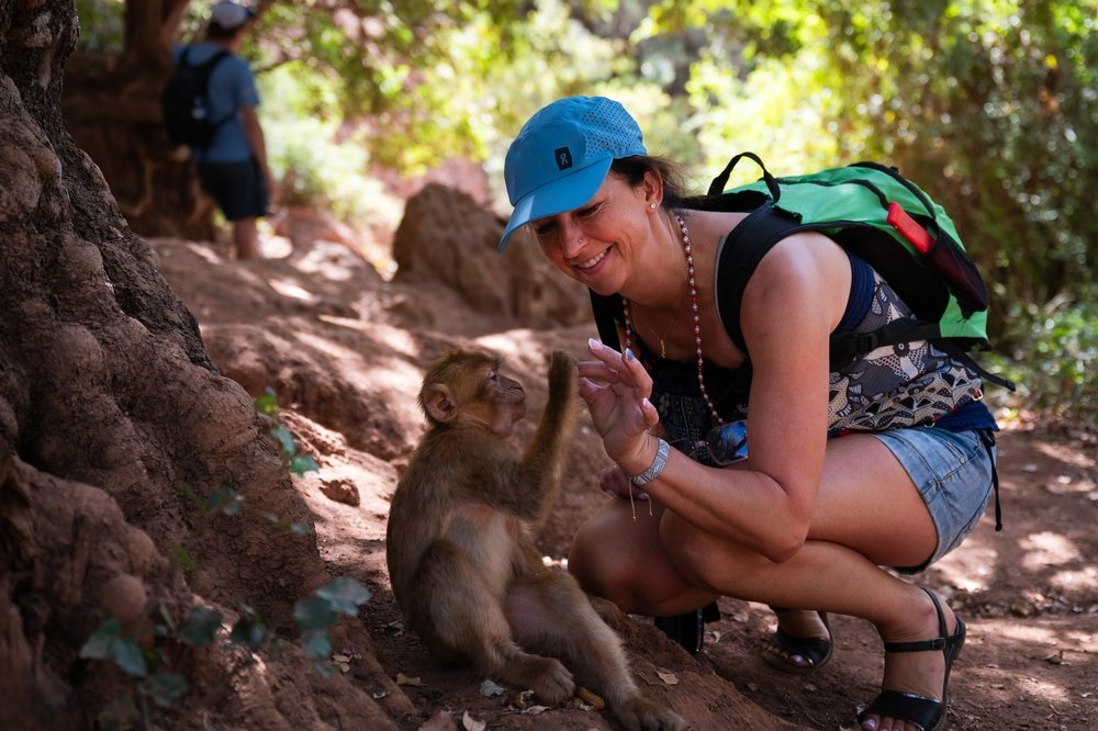 The,Tourist,Is,Having,Fun,With,Macaque,Monkey,Near,The